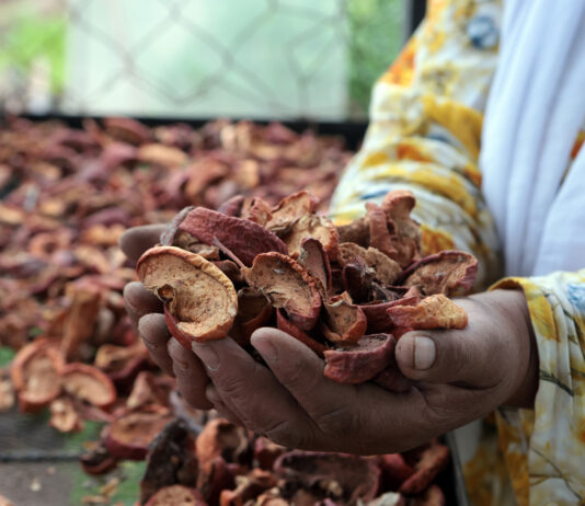 Proyecto agrícola empodera a mujeres en comunidades rurales Proyecto agrícola empodera a mujeres en comunidades rurales