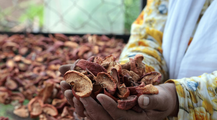 Proyecto agrícola empodera a mujeres en comunidades rurales Proyecto agrícola empodera a mujeres en comunidades rurales