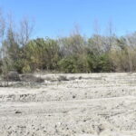 Un condado de California estudia usar trenes para salvar sus playas