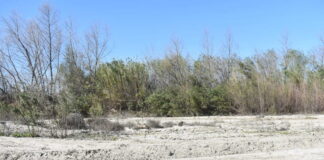 Un condado de California estudia usar trenes para salvar sus playas Un condado de California estudia usar trenes para salvar sus playas