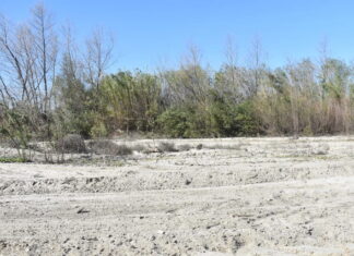 Un condado de California estudia usar trenes para salvar sus playas Un condado de California estudia usar trenes para salvar sus playas