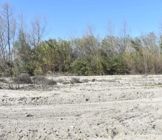 Un condado de California estudia usar trenes para salvar sus playas Un condado de California estudia usar trenes para salvar sus playas