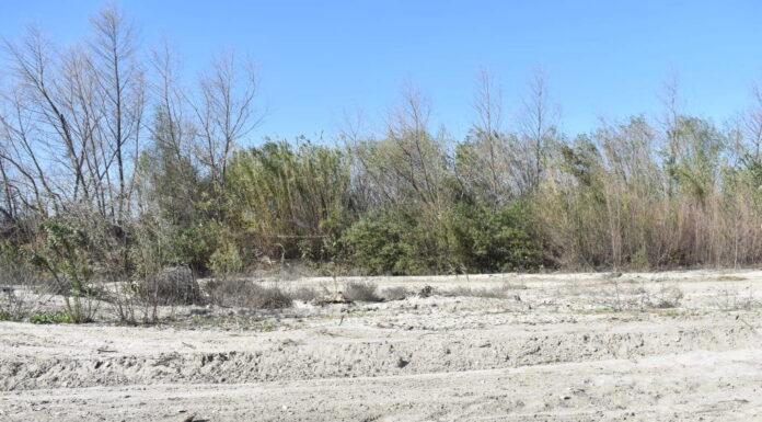 Un condado de California estudia usar trenes para salvar sus playas Un condado de California estudia usar trenes para salvar sus playas