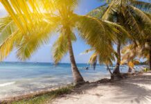 América Latina enfrenta temperaturas históricas y aumento del nivel del mar América Latina enfrenta temperaturas históricas y aumento del nivel del mar