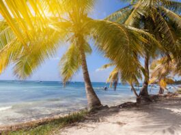 América Latina enfrenta temperaturas históricas y aumento del nivel del mar América Latina enfrenta temperaturas históricas y aumento del nivel del mar