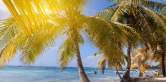 América Latina enfrenta temperaturas históricas y aumento del nivel del mar América Latina enfrenta temperaturas históricas y aumento del nivel del mar