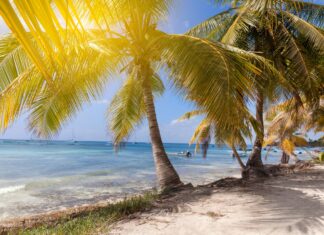 América Latina enfrenta temperaturas históricas y aumento del nivel del mar América Latina enfrenta temperaturas históricas y aumento del nivel del mar
