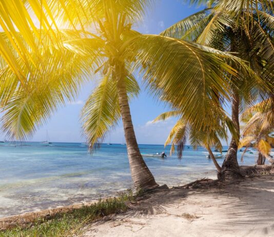 América Latina enfrenta temperaturas históricas y aumento del nivel del mar América Latina enfrenta temperaturas históricas y aumento del nivel del mar