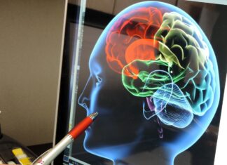 Conocer las señales de un derrame cerebral puede salvar una vida cuando cada minuto cuenta Conocer las señales de un derrame cerebral puede salvar una vida cuando cada minuto cuenta