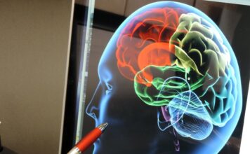 Conocer las señales de un derrame cerebral puede salvar una vida cuando cada minuto cuenta Conocer las señales de un derrame cerebral puede salvar una vida cuando cada minuto cuenta