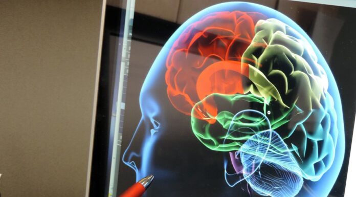 Conocer las señales de un derrame cerebral puede salvar una vida cuando cada minuto cuenta Conocer las señales de un derrame cerebral puede salvar una vida cuando cada minuto cuenta