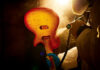 Gibson revela cómo nacen sus guitarras en Nashville Gibson revela cómo nacen sus guitarras en Nashville
