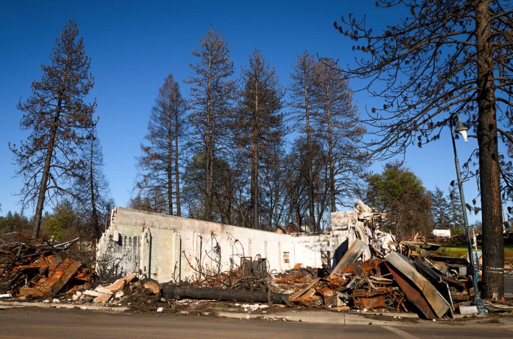 No fueron los árboles estudio revela qué propagó incendios en Los Ángeles
