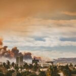 No fueron los árboles estudio revela qué propagó incendios en Los Ángeles