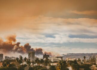 No fueron los árboles: estudio revela qué propagó incendios en Los Ángeles No fueron los árboles estudio revela qué propagó incendios en Los Ángeles