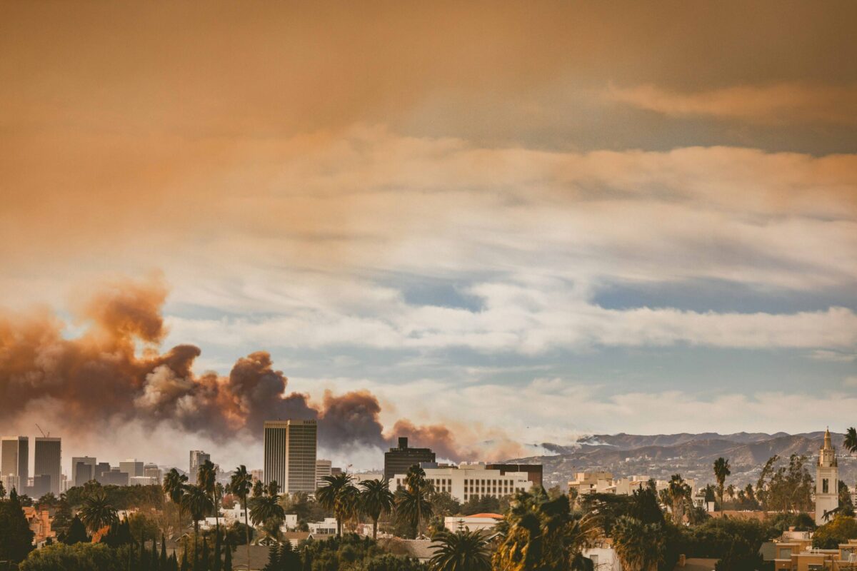 No fueron los árboles estudio revela qué propagó incendios en Los Ángeles 2 No fueron los árboles estudio revela qué propagó incendios en Los Ángeles