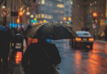 El Niño regresa con fuerza: la OMM alerta sobre riesgos climáticos globales El Niño regresa con fuerza: la OMM alerta sobre riesgos climáticos globales