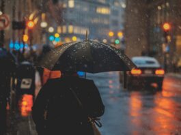 El Niño regresa con fuerza: la OMM alerta sobre riesgos climáticos globales El Niño regresa con fuerza: la OMM alerta sobre riesgos climáticos globales