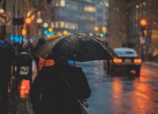 El Niño regresa con fuerza: la OMM alerta sobre riesgos climáticos globales El Niño regresa con fuerza: la OMM alerta sobre riesgos climáticos globales
