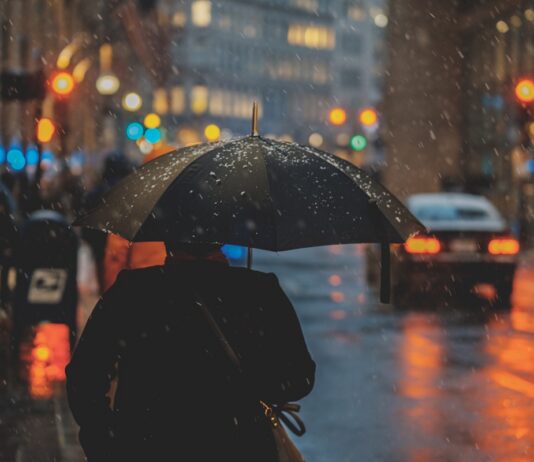 El Niño regresa con fuerza: la OMM alerta sobre riesgos climáticos globales El Niño regresa con fuerza: la OMM alerta sobre riesgos climáticos globales