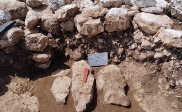 Encuentran vestigios de un posible espacio ceremonial maya de 1.500 años Encuentran vestigios de un posible espacio ceremonial maya de 1,500 años