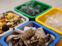 Nueva plataforma en español explica cómo reciclar mejor en California Nueva plataforma en español explica cómo reciclar mejor en California