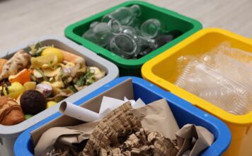 Nueva plataforma en español explica cómo reciclar mejor en California Nueva plataforma en español explica cómo reciclar mejor en California