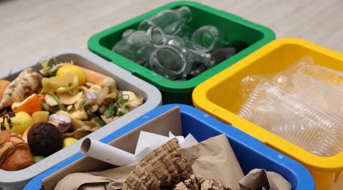 Nueva plataforma en español explica cómo reciclar mejor en California Nueva plataforma en español explica cómo reciclar mejor en California