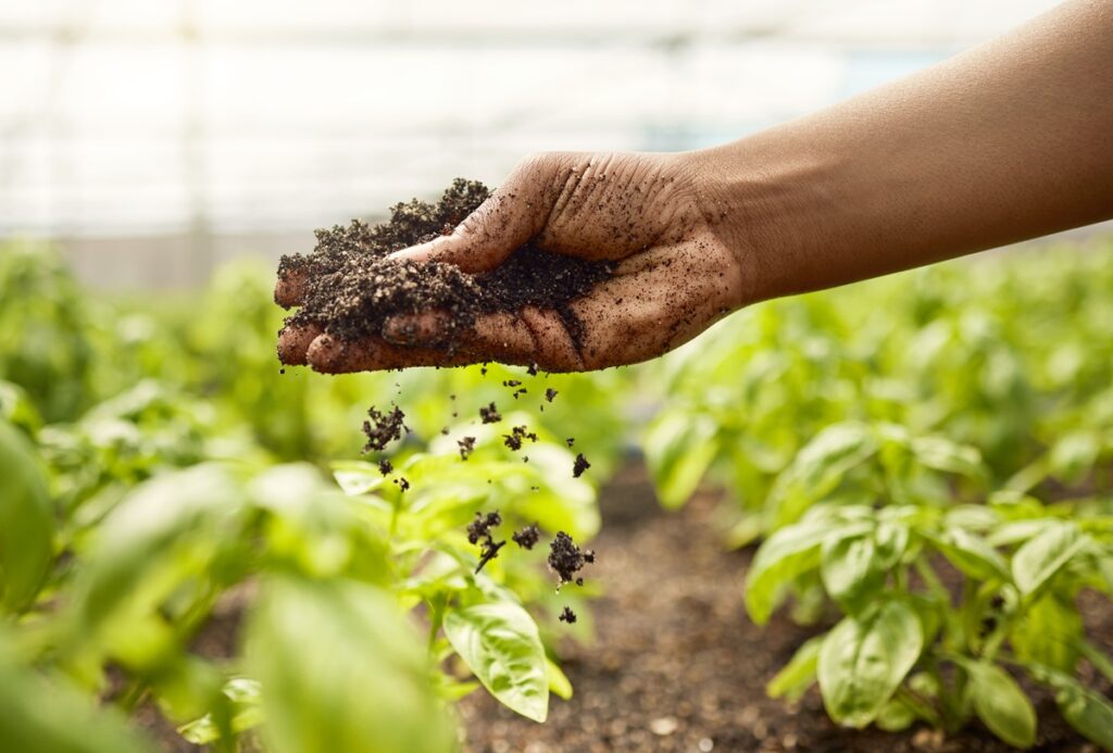 OCDE y FAO prevén más ingresos agrícolas, pero alertan por volatilidad