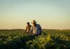 California abre subvención de $500,000 contra plagas agrícolas invasoras California abre subvención de $500,000 contra plagas agrícolas invasoras