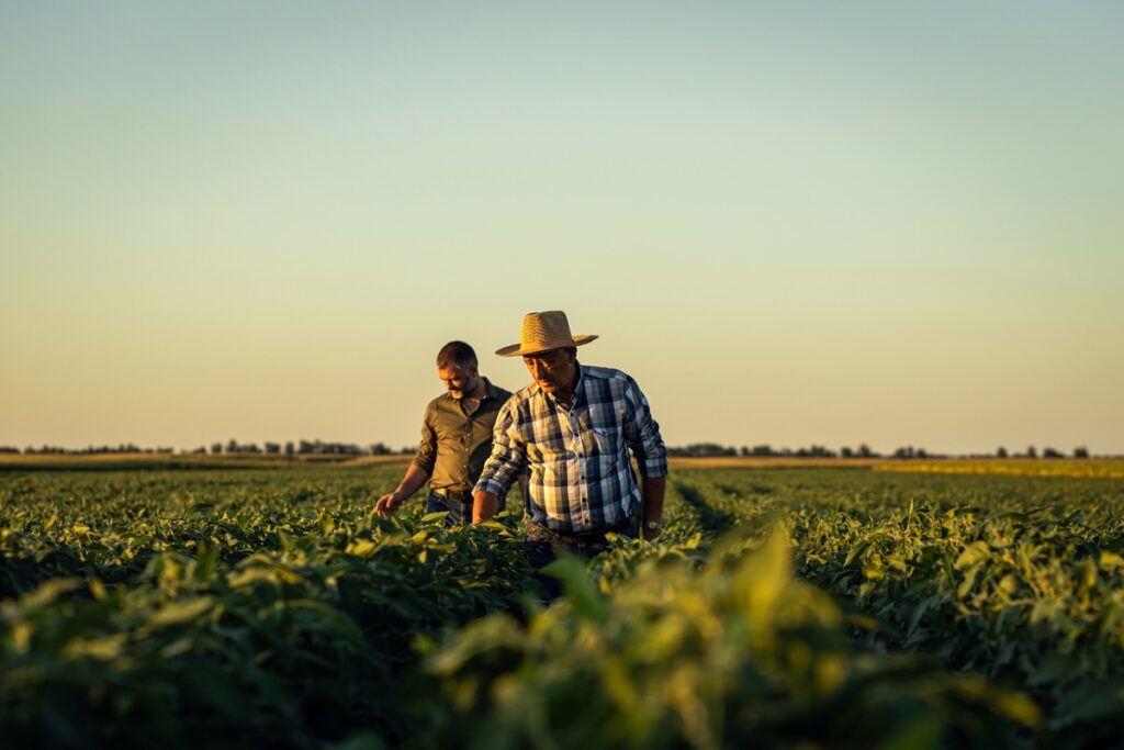 California abre subvención de $500,000 contra plagas agrícolas invasoras