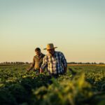 California abre subvención de $500,000 contra plagas agrícolas invasoras