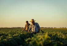 California abre subvención de $500,000 contra plagas agrícolas invasoras California abre subvención de $500,000 contra plagas agrícolas invasoras