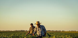 California abre subvención de $500,000 contra plagas agrícolas invasoras California abre subvención de $500,000 contra plagas agrícolas invasoras
