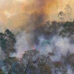 EPA publica guía para fabricar purificadores de aire caseros ante humo, virus y contaminantes