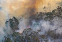 EPA publica guía para fabricar purificadores de aire caseros ante humo, virus y contaminantes EPA publica guía para fabricar purificadores de aire caseros ante humo, virus y contaminantes