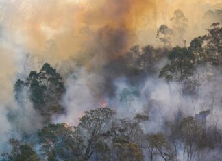 EPA publica guía para fabricar purificadores de aire caseros ante humo, virus y contaminantes EPA publica guía para fabricar purificadores de aire caseros ante humo, virus y contaminantes