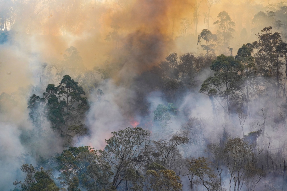EPA publica guía para fabricar purificadores de aire caseros ante humo, virus y contaminantes EPA publica guía para fabricar purificadores de aire caseros ante humo, virus y contaminantes
