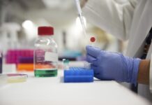 FDA elimina Orange B y propone retirar Citrus Red No. 2 de los alimentos FDA elimina Orange B y propone retirar Citrus Red No. 2 de los alimentos
