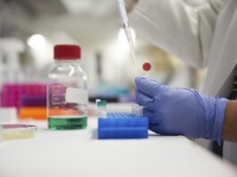 FDA elimina Orange B y propone retirar Citrus Red No. 2 de los alimentos FDA elimina Orange B y propone retirar Citrus Red No. 2 de los alimentos