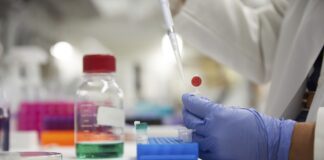 FDA elimina Orange B y propone retirar Citrus Red No. 2 de los alimentos FDA elimina Orange B y propone retirar Citrus Red No. 2 de los alimentos