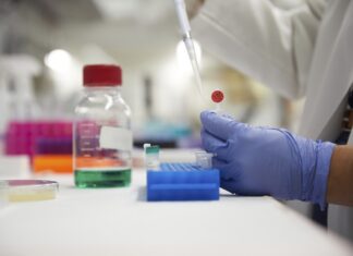 FDA elimina Orange B y propone retirar Citrus Red No. 2 de los alimentos FDA elimina Orange B y propone retirar Citrus Red No. 2 de los alimentos