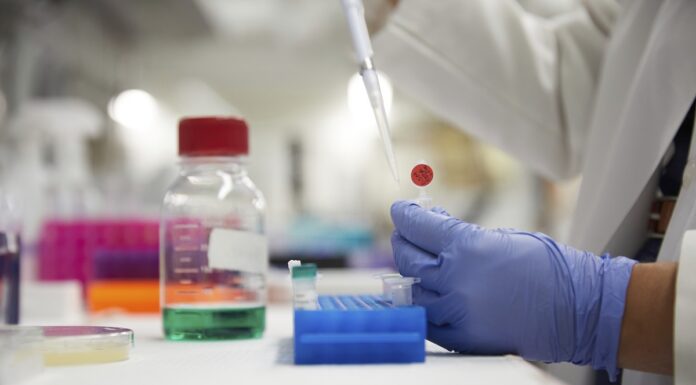 FDA elimina Orange B y propone retirar Citrus Red No. 2 de los alimentos FDA elimina Orange B y propone retirar Citrus Red No. 2 de los alimentos