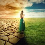 Festival de San Sebastián crea Premio Tanta para proyectos sobre emergencia climática