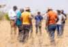 La clave de una mejor cosecha podría estar bajo los pies de los agricultores La clave de una mejor cosecha podría estar bajo los pies de los agricultores