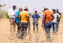La clave de una mejor cosecha podría estar bajo los pies de los agricultores La clave de una mejor cosecha podría estar bajo los pies de los agricultores