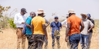 La clave de una mejor cosecha podría estar bajo los pies de los agricultores La clave de una mejor cosecha podría estar bajo los pies de los agricultores