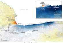 Mapas satelitales revelan cómo se desplazó el suelo tras el terremoto en Venezuela Mapas satelitales revelan cómo se desplazó el suelo tras el terremoto en Venezuela