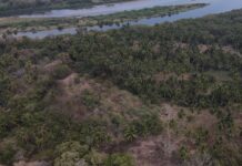 Registran dos asentamientos que sobrevivieron a la conquista en Guerrero Registran dos asentamientos que sobrevivieron a la conquista en Guerrero