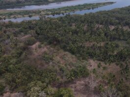 Registran dos asentamientos que sobrevivieron a la conquista en Guerrero Registran dos asentamientos que sobrevivieron a la conquista en Guerrero